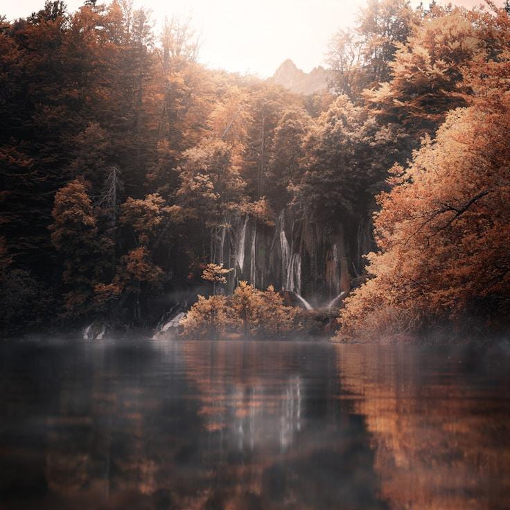 Overview of protected areas